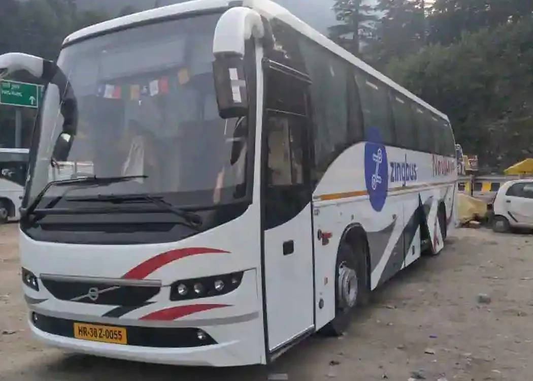 Zingbus_blissybest