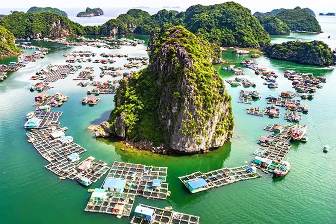 Best Halong Bay Day Trip from Hanoi