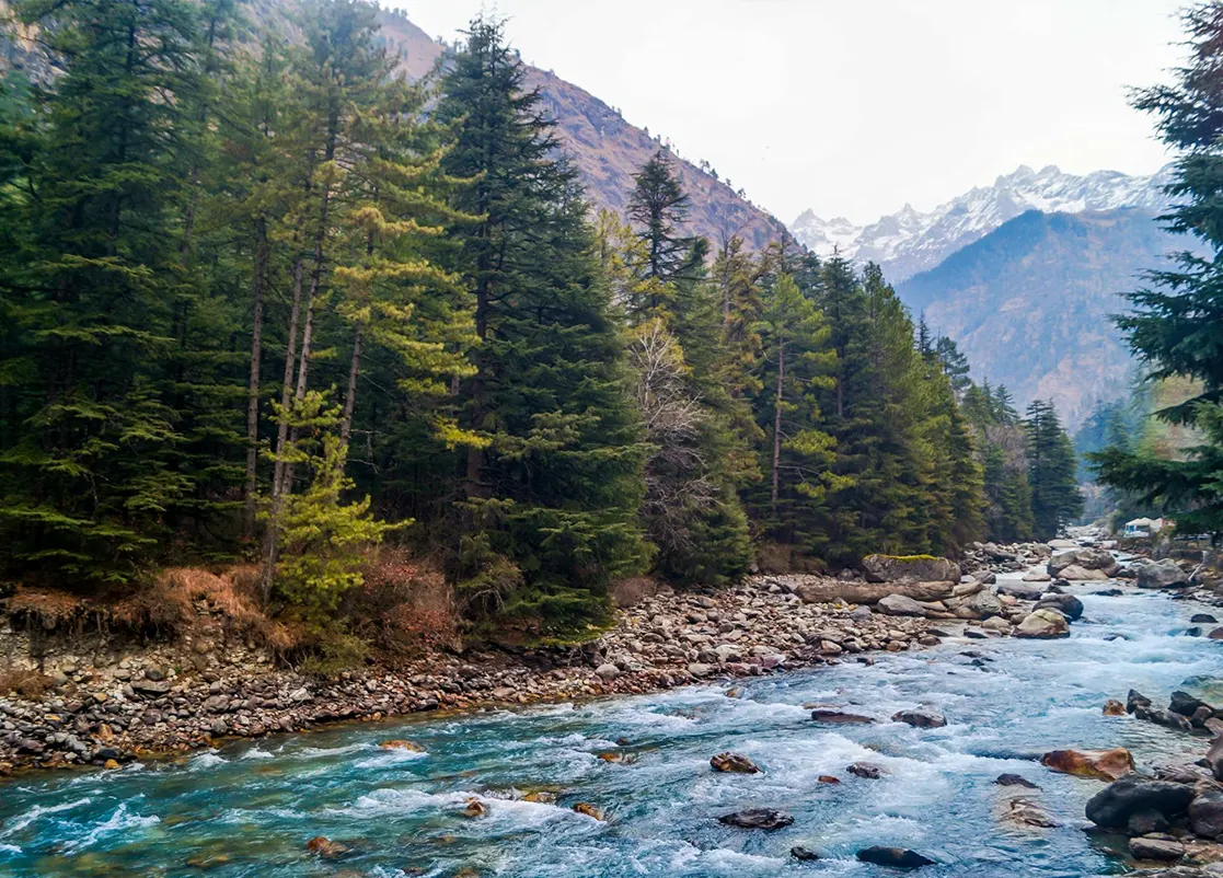 kasol